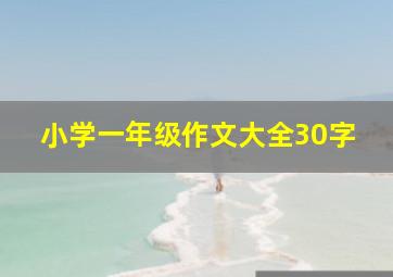 小学一年级作文大全30字