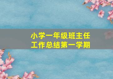 小学一年级班主任工作总结第一学期