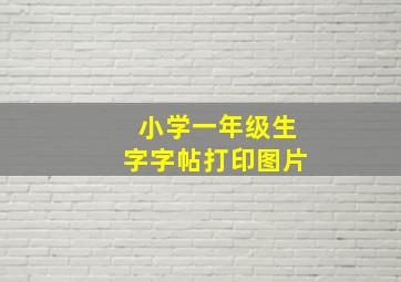 小学一年级生字字帖打印图片