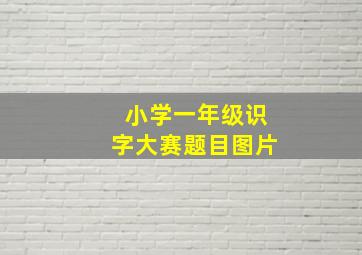 小学一年级识字大赛题目图片