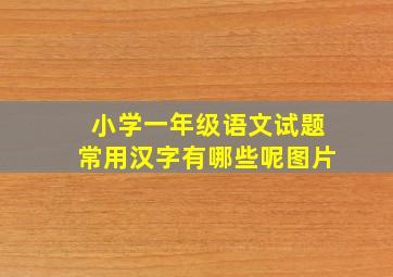 小学一年级语文试题常用汉字有哪些呢图片