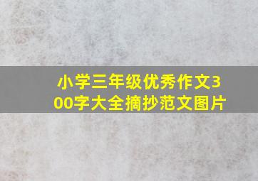 小学三年级优秀作文300字大全摘抄范文图片