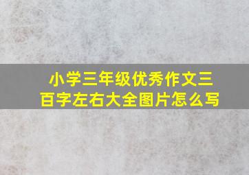 小学三年级优秀作文三百字左右大全图片怎么写