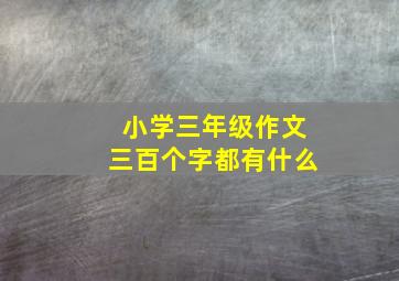 小学三年级作文三百个字都有什么