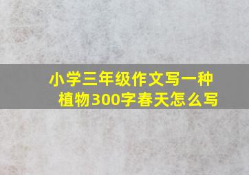 小学三年级作文写一种植物300字春天怎么写