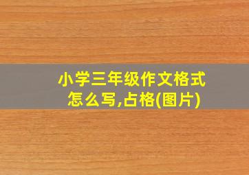 小学三年级作文格式怎么写,占格(图片)