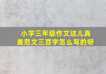 小学三年级作文这儿真美范文三百字怎么写的呀