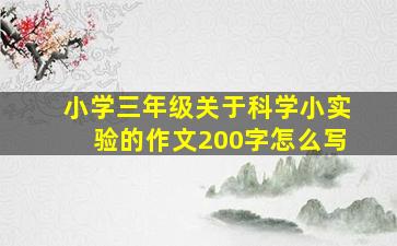 小学三年级关于科学小实验的作文200字怎么写