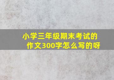 小学三年级期末考试的作文300字怎么写的呀