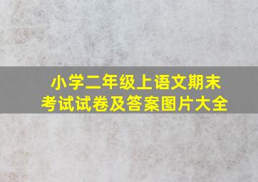 小学二年级上语文期末考试试卷及答案图片大全