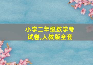 小学二年级数学考试卷,人教版全套