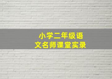 小学二年级语文名师课堂实录