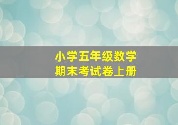 小学五年级数学期末考试卷上册