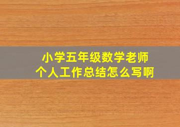 小学五年级数学老师个人工作总结怎么写啊