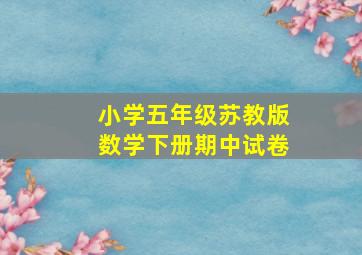 小学五年级苏教版数学下册期中试卷