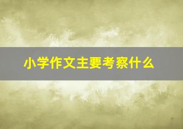 小学作文主要考察什么