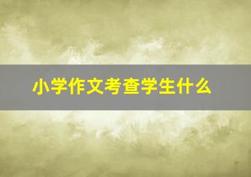 小学作文考查学生什么