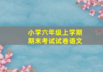 小学六年级上学期期末考试试卷语文