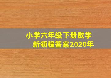 小学六年级下册数学新领程答案2020年