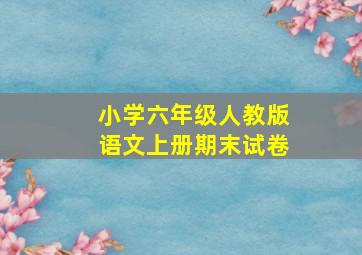 小学六年级人教版语文上册期末试卷