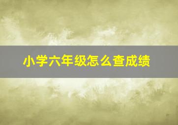 小学六年级怎么查成绩