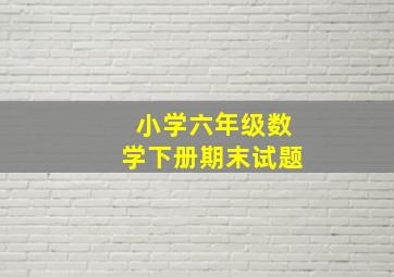 小学六年级数学下册期末试题