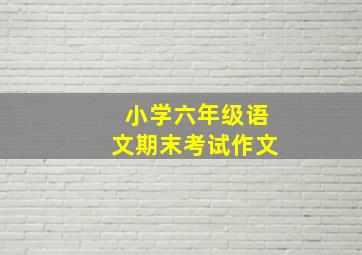 小学六年级语文期末考试作文