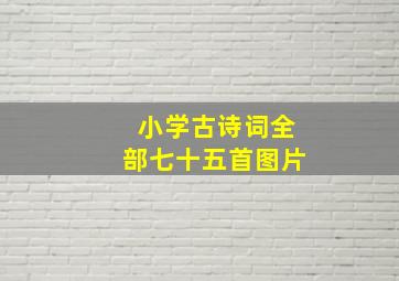 小学古诗词全部七十五首图片