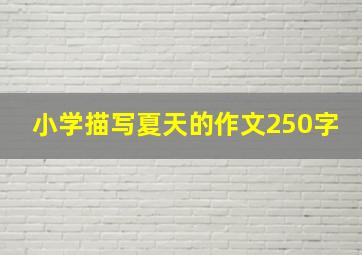 小学描写夏天的作文250字