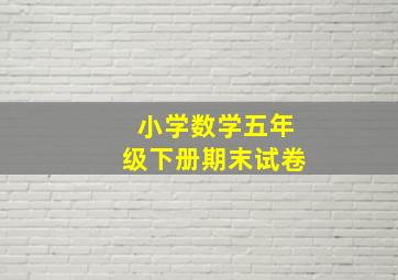 小学数学五年级下册期末试卷