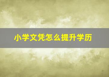 小学文凭怎么提升学历