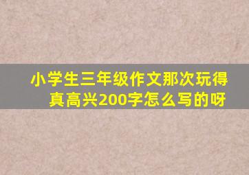 小学生三年级作文那次玩得真高兴200字怎么写的呀