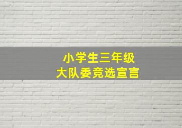 小学生三年级大队委竞选宣言