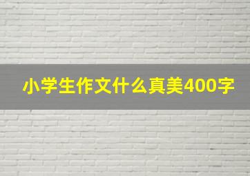 小学生作文什么真美400字