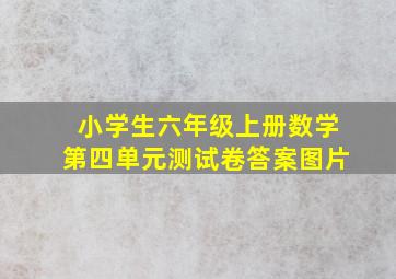 小学生六年级上册数学第四单元测试卷答案图片