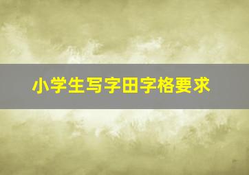 小学生写字田字格要求