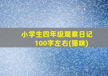 小学生四年级观察日记100字左右(猫咪)