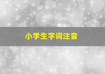 小学生字词注音