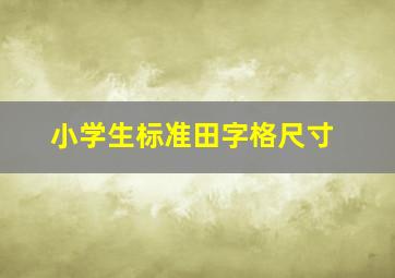 小学生标准田字格尺寸