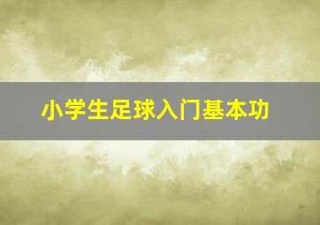 小学生足球入门基本功