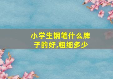 小学生钢笔什么牌子的好,粗细多少