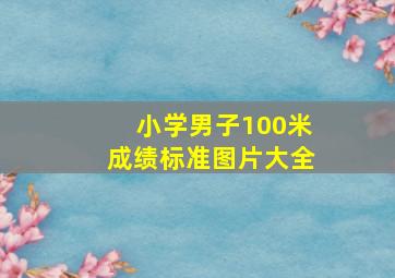 小学男子100米成绩标准图片大全