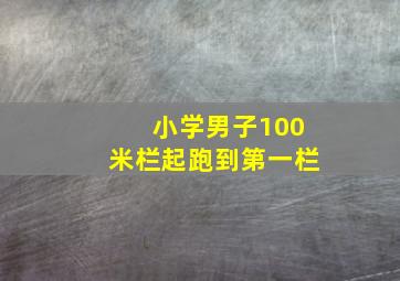 小学男子100米栏起跑到第一栏