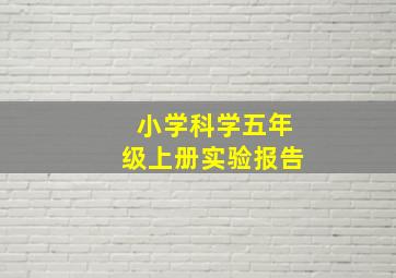 小学科学五年级上册实验报告