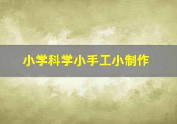 小学科学小手工小制作