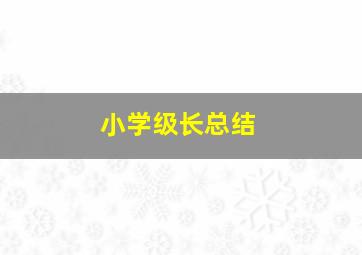 小学级长总结