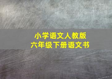 小学语文人教版六年级下册语文书