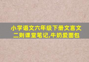 小学语文六年级下册文言文二则课堂笔记,牛奶爱面包