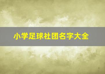 小学足球社团名字大全