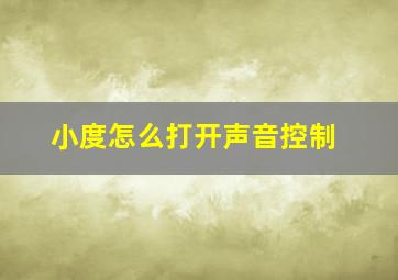 小度怎么打开声音控制